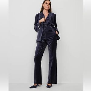 NEW $139 Ann Taylor The Jayne Trouser Velvet Pant In Navy Size 0P